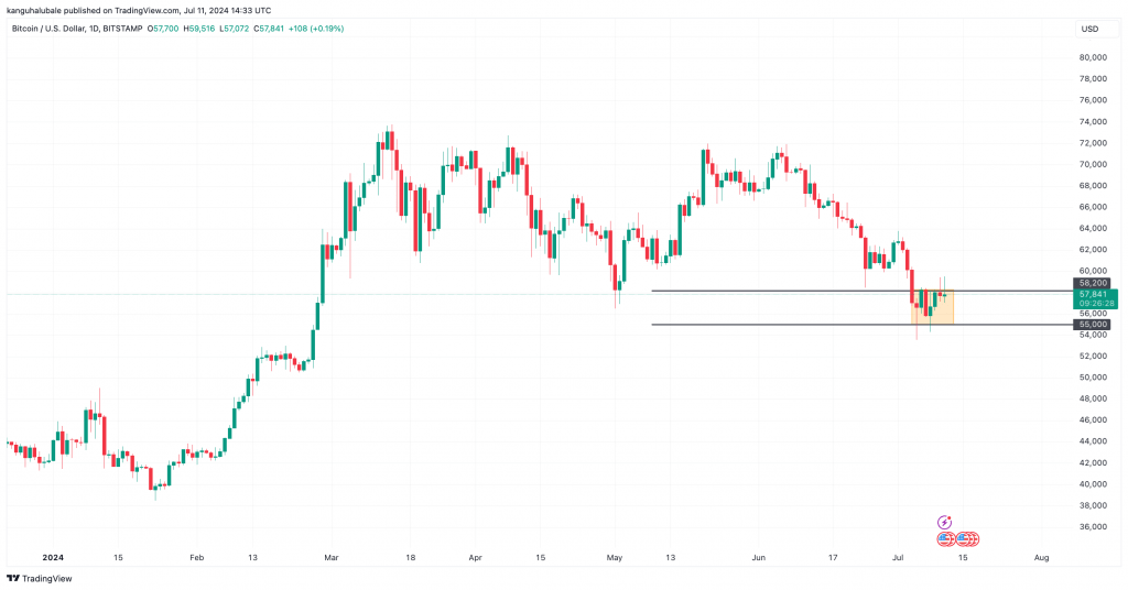 Bitcoin Price Analysis Chart Showing BTC/USD Daily Trading Between $55,000 and $58,200 with Key Support and Resistance Levels Indicated on July 11, 2024, Source: TradingView