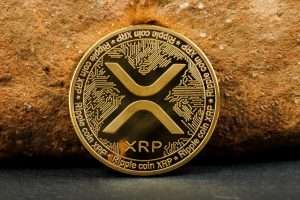 An In-Depth Analysis of  XRP: 2025 Price Trends and Future Outlook
